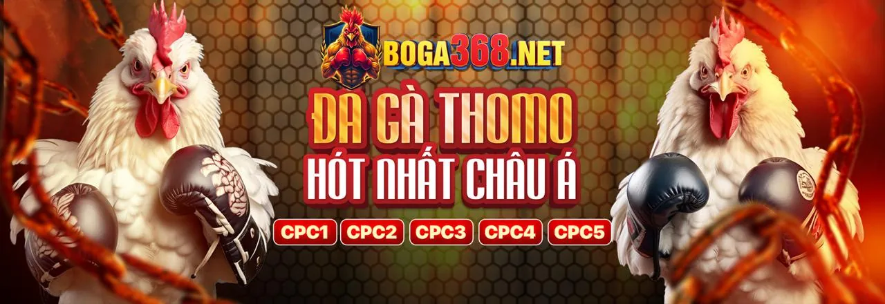Hình ảnh chính Blog 98bet Đăng Nhập